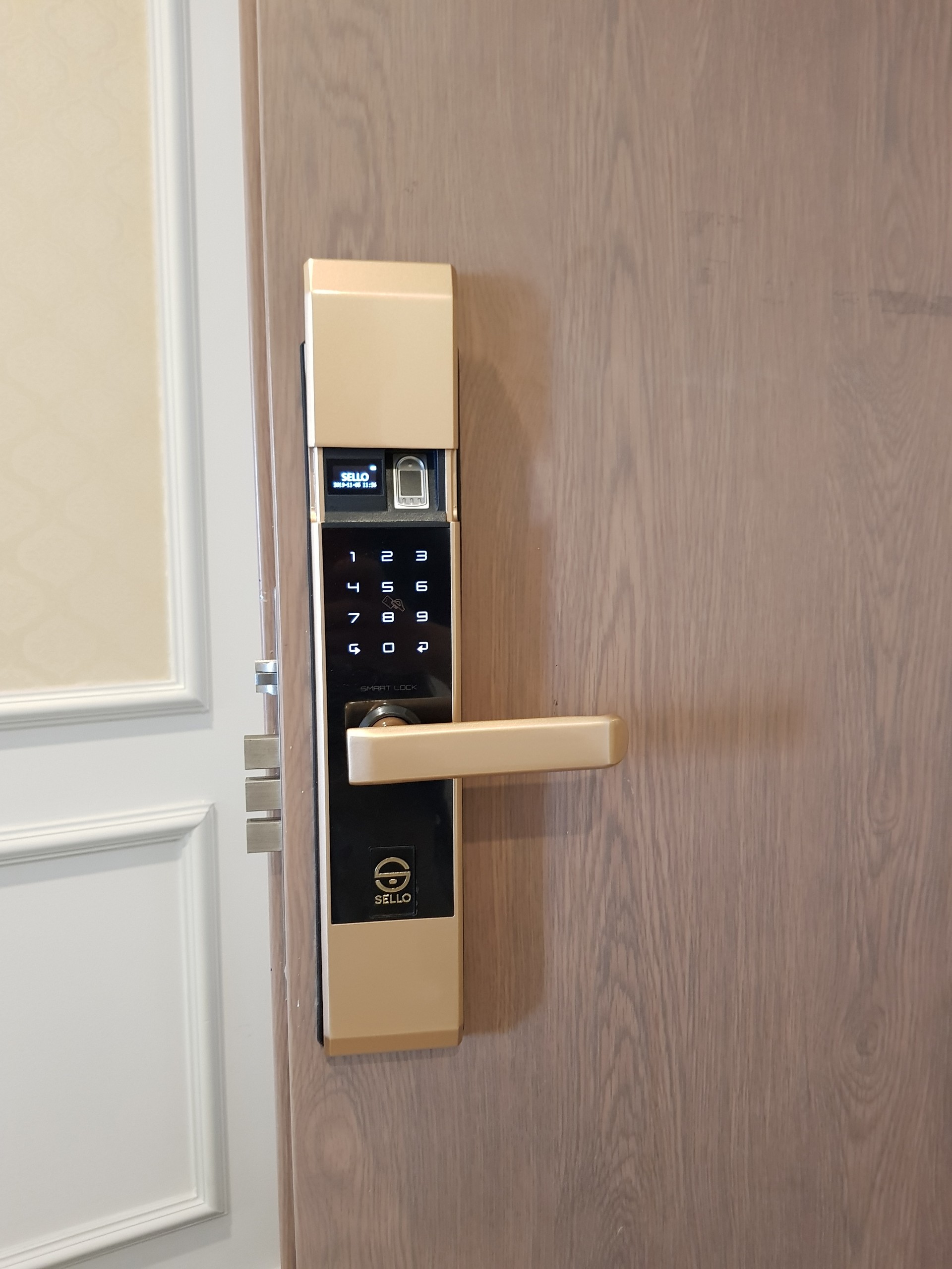 Lắp đặt khóa SELLO B101 Gold tại Chung cư Ecocity Việt Hưng - Long Biên