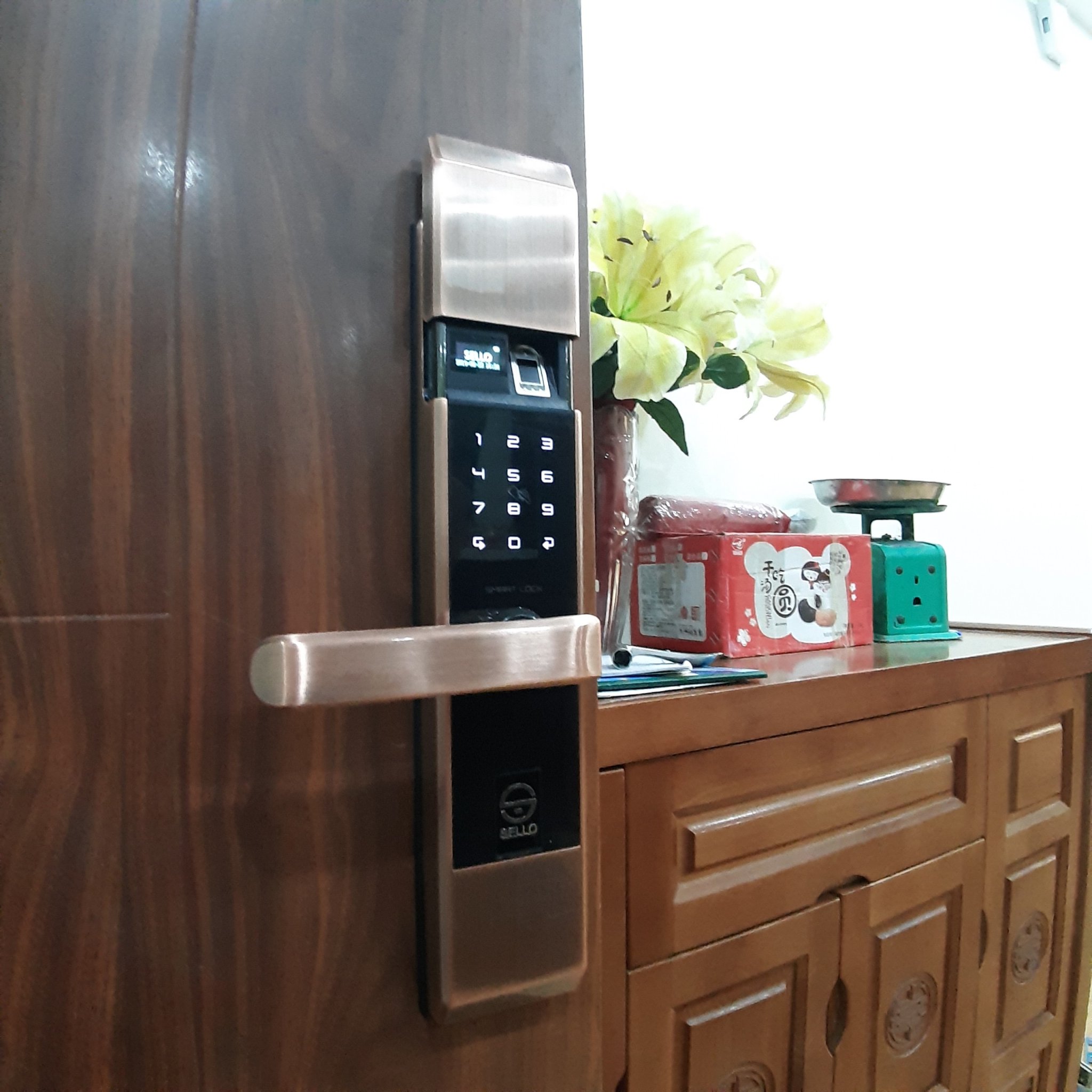 Chung cư Imperial - 360 Giải Phóng lắp khóa SELLO B101 Đồng