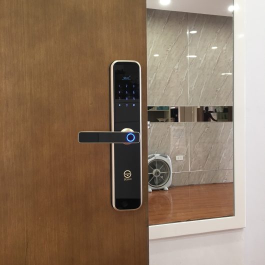 Những mẫu khóa cửa hiện đại được lắp nhiều nhất hiện nay