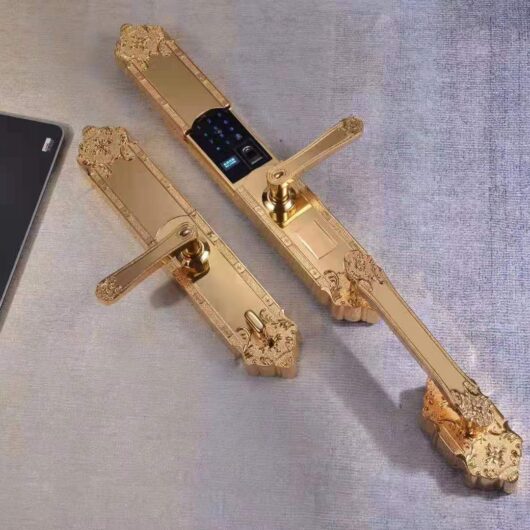 Khóa cửa đại sảnh | Khóa cửa cao cấp cho Biệt Thư - Villa