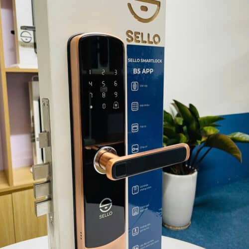 B5 030125