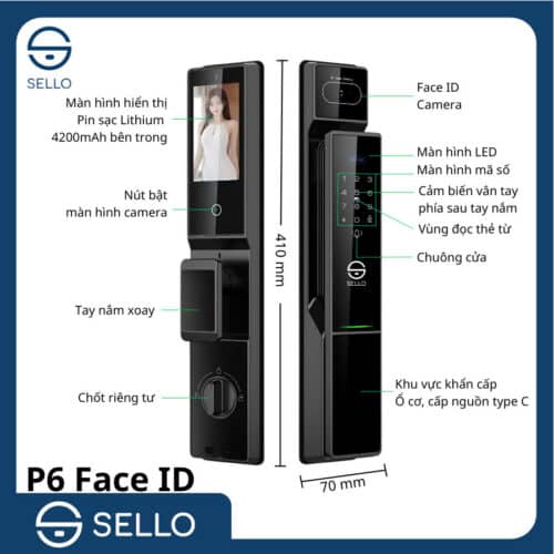 P6 2