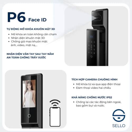 P6 3