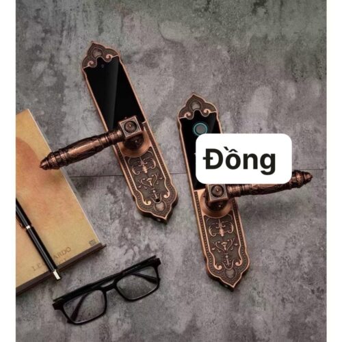 V63 dong